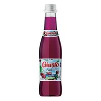 Natura Giusto Visine 0.25L (bax12 buc) SGR