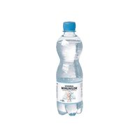 Apa minerala Izvorul Minunilor 0.5l ( bax 12 buc) SGR