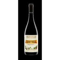 Vin Zestrea Cabernet Saugvinion 0.75L SGR